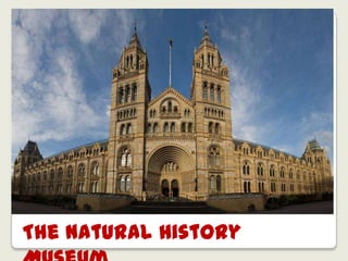 The Natural History
 