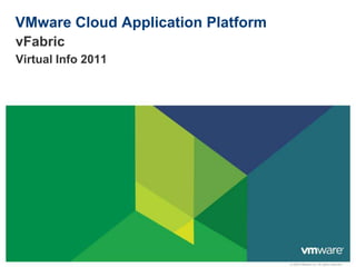 VMware Cloud Application Platform vFabric Virtual Info 2011 
