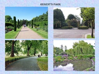 Regent’s Park 