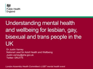 Understanding the mental health and wellbeing of lesbian, gay, bisexual ...