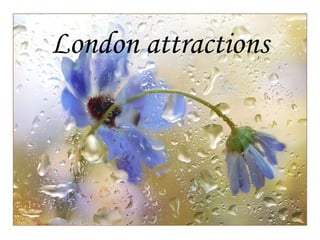 London attractions
 
