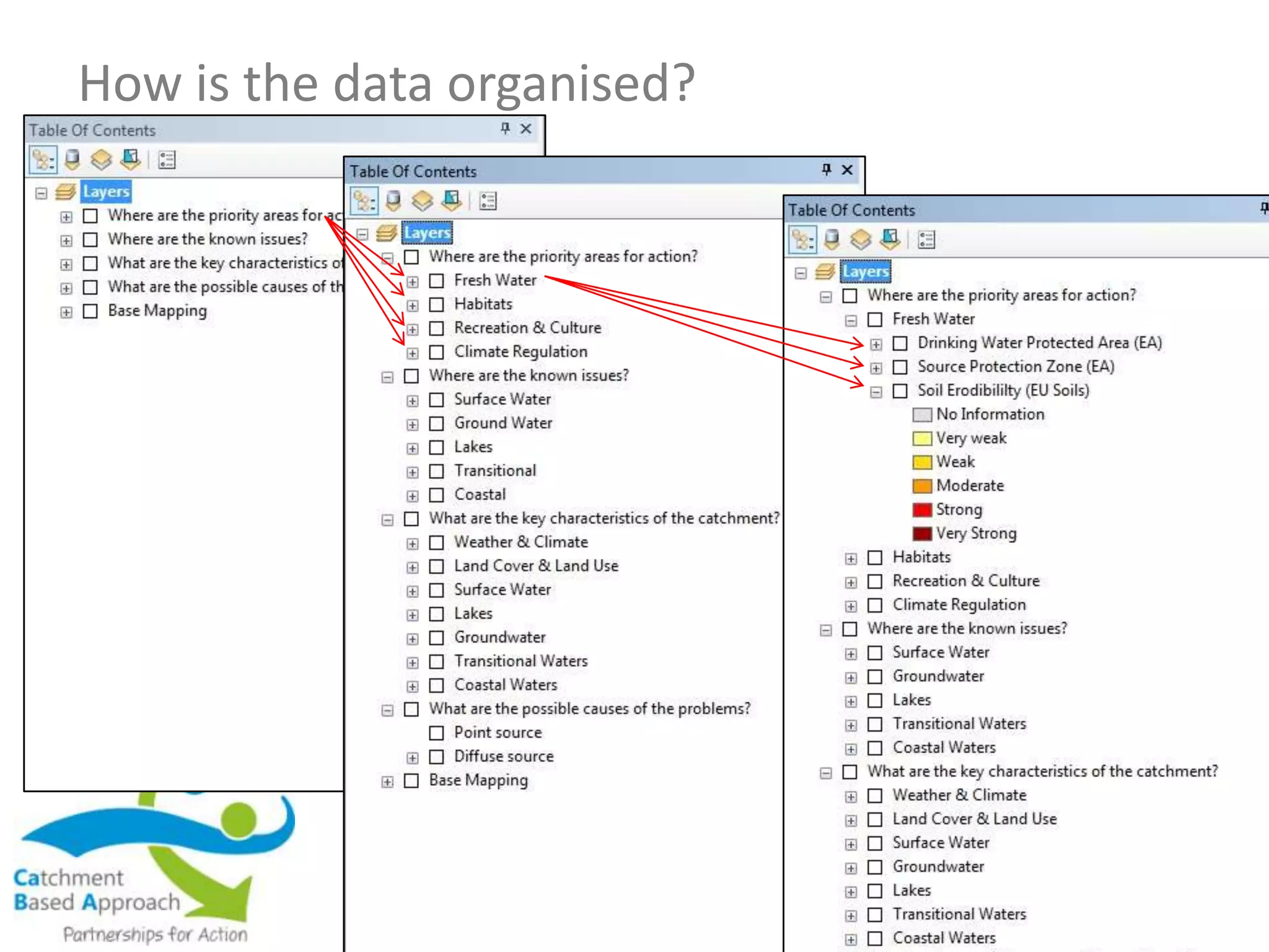 How is the data organised?
 