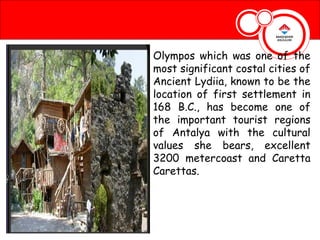 Olympos which was one of the
most significant costal cities of
Ancient Lydiia, known to be the
location of first settlement in
168 B.C., has become one of
the important tourist regions
of Antalya with the cultural
values she bears, excellent
3200 metercoast and Caretta
Carettas.
 