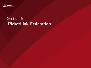 Section 5
PicketLink Federation
 