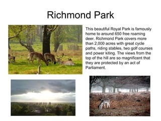 Richmond Park This beautiful Royal Park is famously home to around 650 free roaming deer. Richmond Park covers more than 2,000 acres with great cycle paths, riding stables, two golf courses and power kiting. The views from the top of the hill are so magnificent that they are protected by an act of Parliament.  