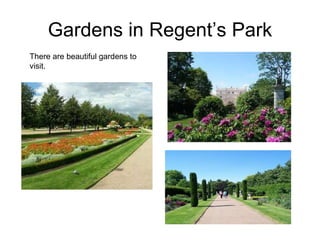 Gardens in Regent’s Park There are beautiful gardens to visit.  