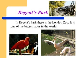 Regent’s Park
In Regent's Park there is the London Zoo. It is
one of the biggest zoos in the world.

 