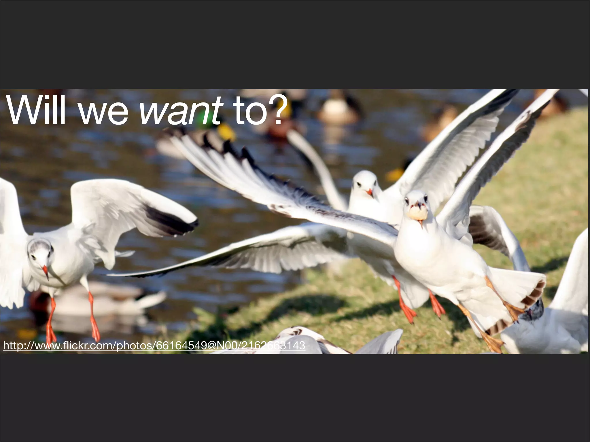 Will we want to?




http://www.ﬂickr.com/photos/66164549@N00/2162663143
 