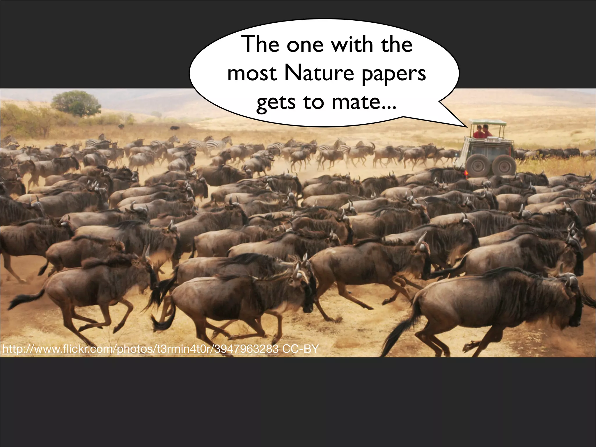 The one with the
                                       most Nature papers
                                         gets to mate...




http://www.ﬂickr.com/photos/t3rmin4t0r/3947963283 CC-BY
 