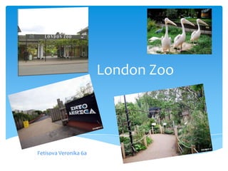 London Zoo




Fetisova Veronika 6a
 