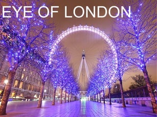 EYE OF LONDON
 