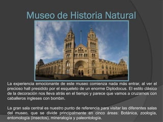 Museo de Historia Natural




La experiencia emocionante de este museo comienza nada más entrar, al ver el
precioso hall presidido por el esqueleto de un enorme Diplodocus. El estilo clásico
de la decoración nos lleva atrás en el tiempo y parece que vamos a cruzarnos con
caballeros ingleses con bombin.

La gran sala central es nuestro punto de referencia para visitar las diferentes salas
del museo, que se divide principalmente en cinco áreas: Botánica, zoología,
entomología (insectos), mineralogía y paleontología.
 
