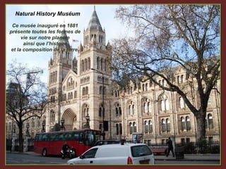 Natural History Muséum

 Ce musée inauguré en 1881
présente toutes les formes de
      vie sur notre planète
       ainsi que l’histoire
 et la composition de la terre.
 