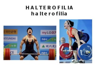 H A L T E R O F IL IA
  h a lt e r o f ilia
 