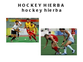 H O C K E Y H IE R B A
  h o c k e y h ie r b a
 