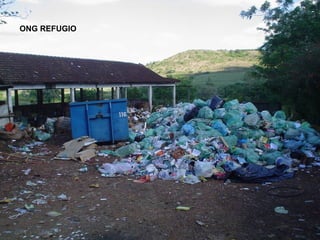 ONG REFUGIO
 