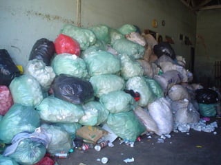 Londrina coleta seletiva 2008