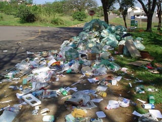 Londrina coleta seletiva 2008