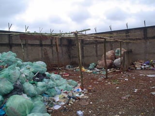 Londrina coleta seletiva 2008