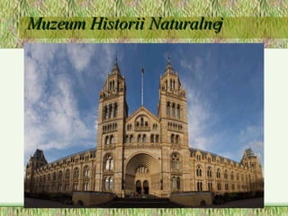Muzeum Historii Naturalnej 