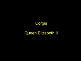 Corgis
Queen Elizabeth II
 