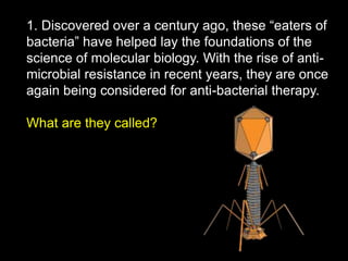 1. Discovered over a century ago, these “eaters of
bacteria” have helped lay the foundations of the
science of molecular biology. With the rise of anti-
microbial resistance in recent years, they are once
again being considered for anti-bacterial therapy.
What are they called?
 
