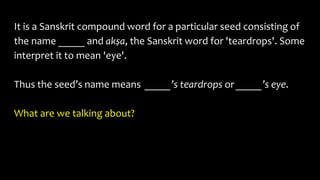 It is a Sanskrit compound word for a particular seed consisting of
the name _____ and akṣa, the Sanskrit word for 'teardrops'. Some
interpret it to mean 'eye'.
Thus the seed’s name means _____’s teardrops or _____’s eye.
What are we talking about?
 
