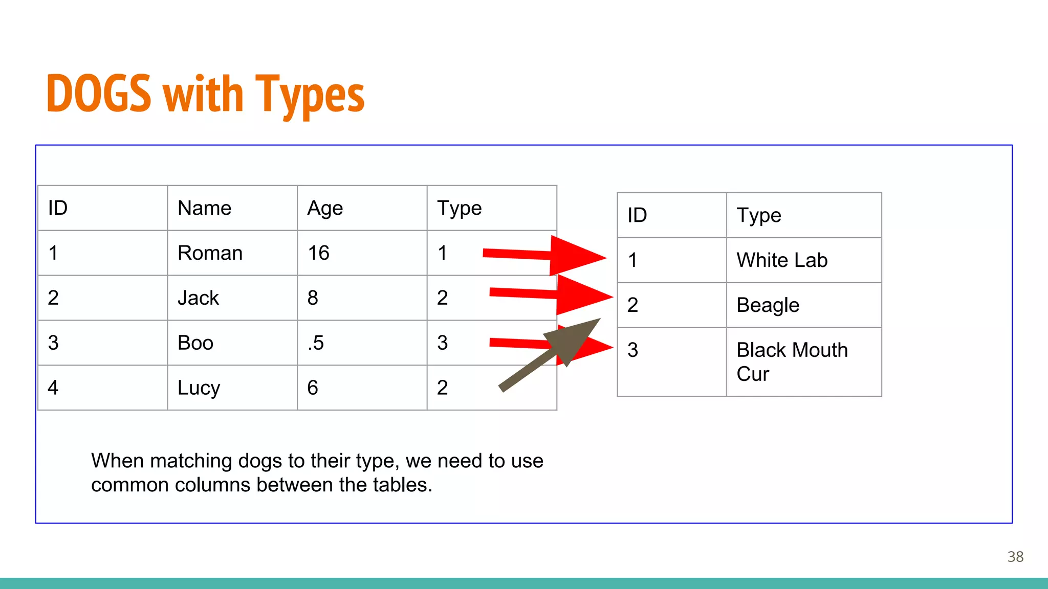 DOGS with Types
38
ID Type
1 White Lab
2 Beagle
3 Black Mouth
Cur
ID Name Age Type
1 Roman 16 1
2 Jack 8 2
3 Boo .5 3
4 Lucy 6 2
When matching dogs to their type, we need to use
common columns between the tables.
 