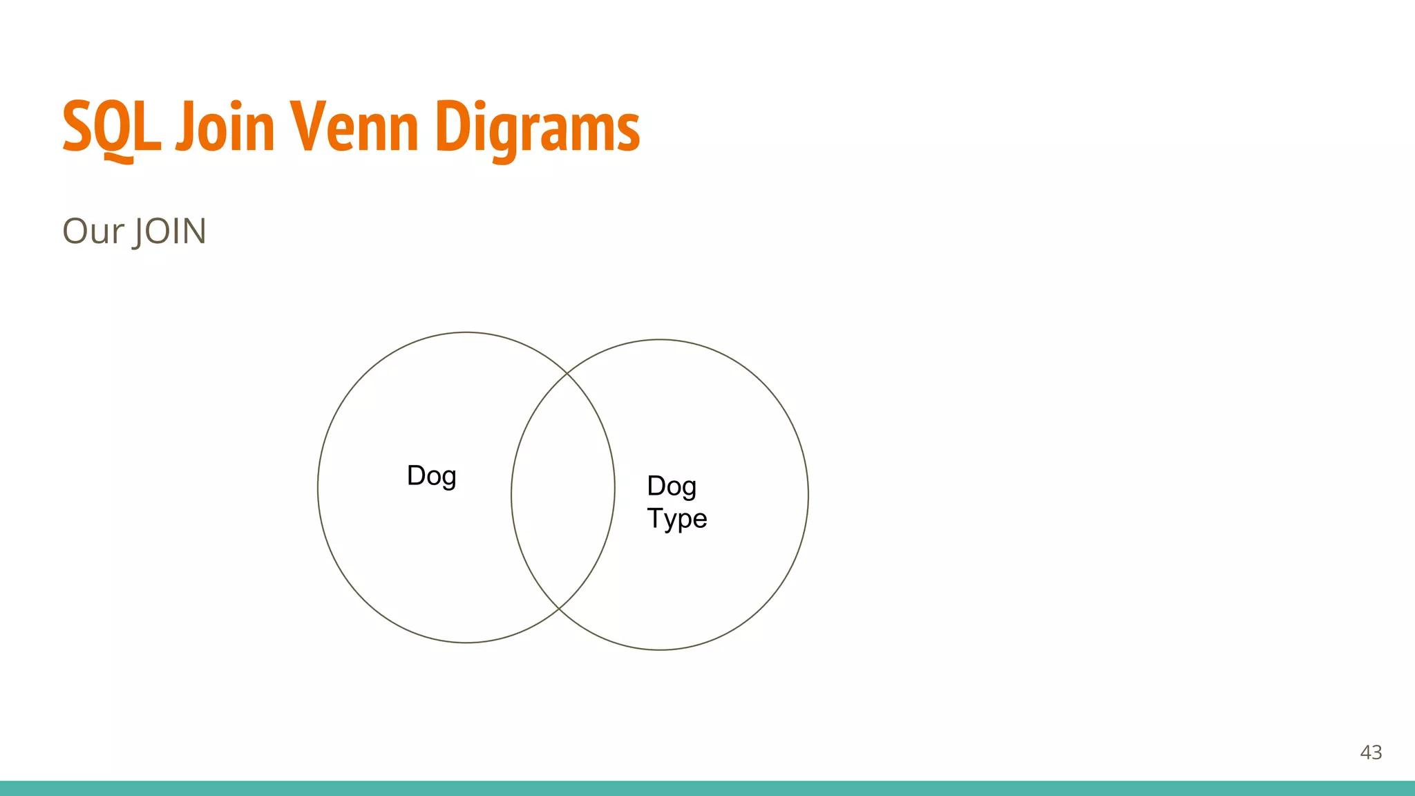 SQL Join Venn Digrams
Our JOIN
43
Dog Dog
Type
 