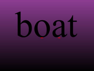 boat

 