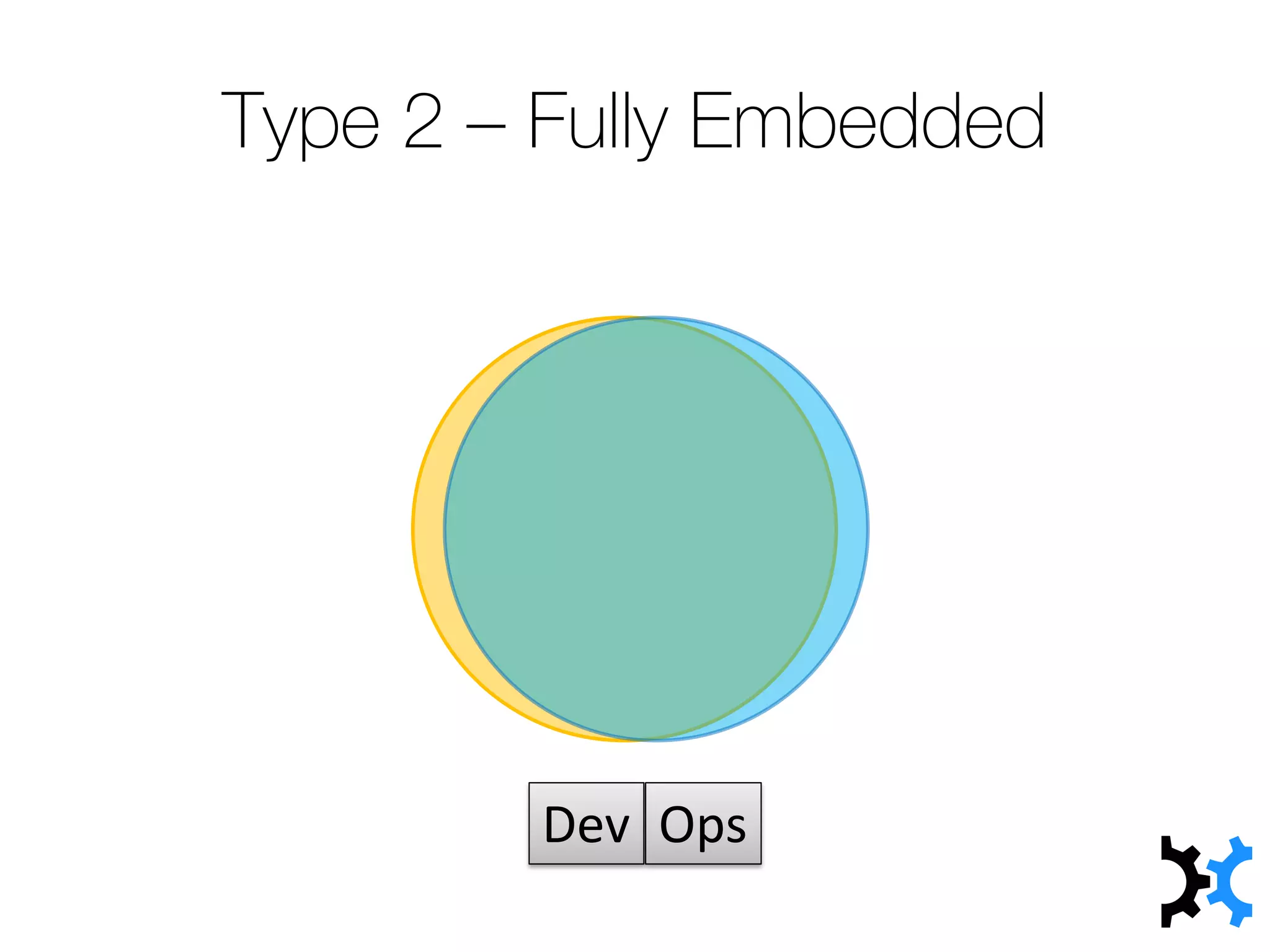 Type 2 – Fully Embedded
Dev Ops