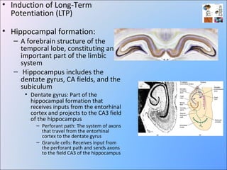 Long term potentiation | PPT