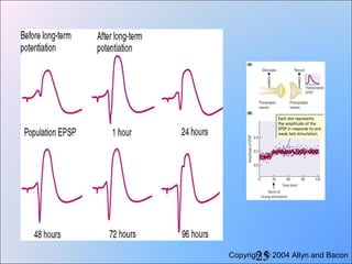 Long term potentiation | PPT