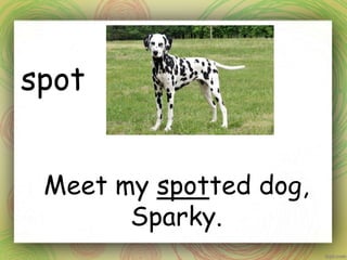 spot
Meet my spotted dog,
Sparky.
 