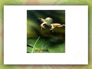 Long and short o words