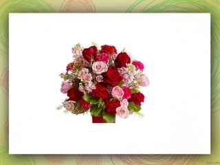 Long and short o words