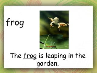 frog
The frog is leaping in the
garden.
 