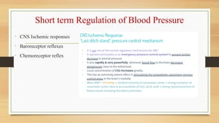 Long and Short term Regulation of Blood Pressure.ppt