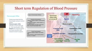 Long and Short term Regulation of Blood Pressure.ppt