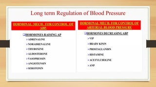 Long and Short term Regulation of Blood Pressure.ppt