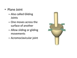 Long bone | PPTX