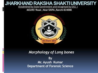 JHARKHANDRAKSHASHAKTIUNIVERSITY
(Established byStateGovernment and recognised byUGC )
MEURS’Road , Near SKIPA ,Ranchi-834008
By
Mr. Ayush Kumar
Department of Forensic Science
Morphology of Long bones
 