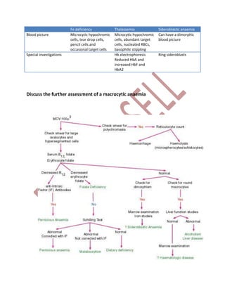 Fe deficiency Thalassemia Sideroblastic anaemia
Blood picture Microcytic hypochromic
cells, tear drop cells,
pencil cells and
occasional target cells
Microcytic hypochromic
cells, abundant target
cells, nucleated RBCs,
basophilic stippling
Can have a dimorphic
blood picture
Special investigations Hb electrophoresis
Reduced HbA and
increased HbF and
HbA2
Ring sideroblasts
Discuss the further assessment of a macrocytic anaemia
 