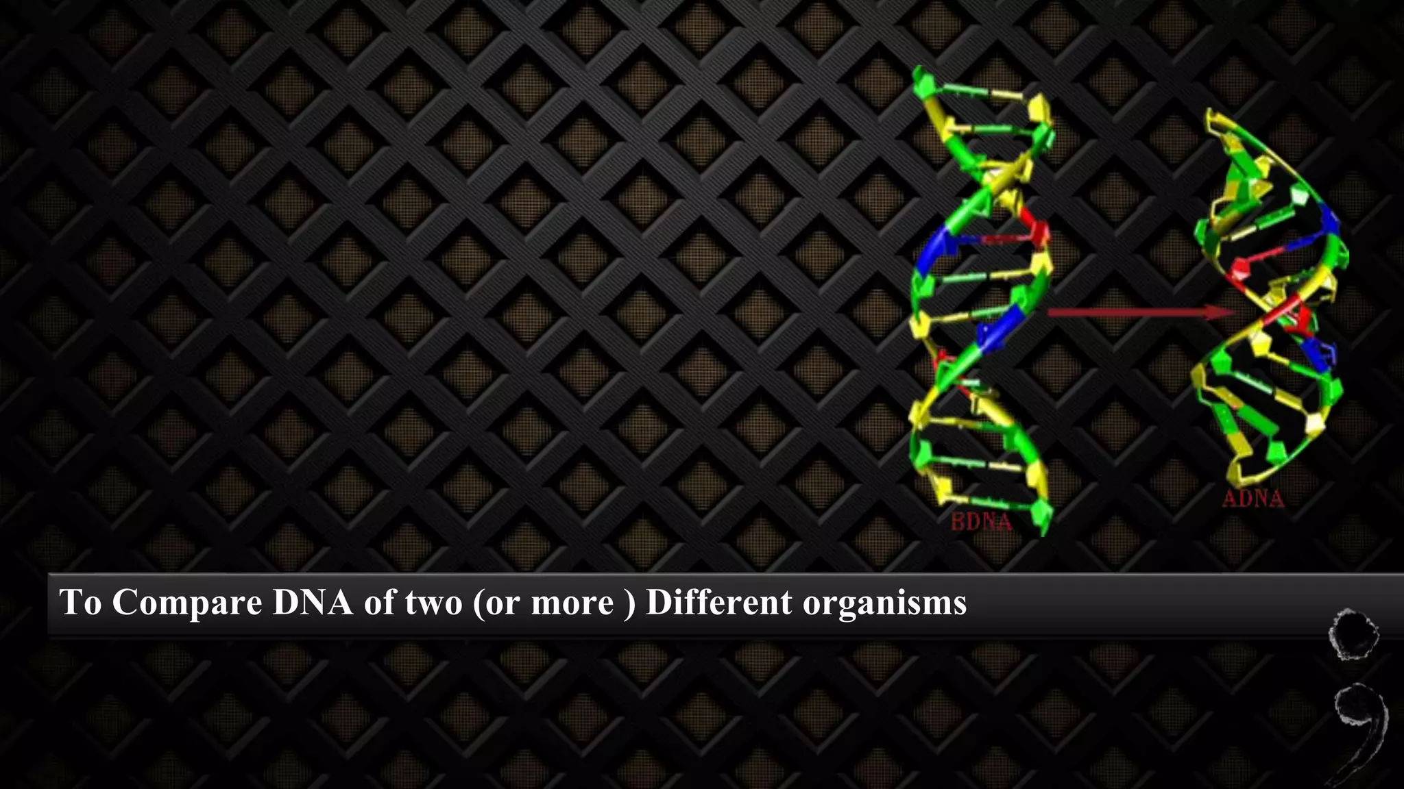 To Compare DNA of two (or more ) Different organisms
 