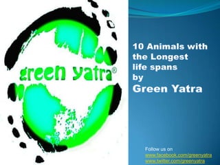 10 Animals with the Longest  life spans by Green Yatra Follow us on www.facebook.com/greenyatra www.twitter.com/greenyatra 