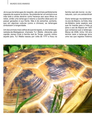 MUNDO DOS ANIMAIS
Já no que às tartarugas diz respeito, são animais perfeitamente
capazes de superar os donos. Se pretende ter um animal a sua
vida toda e ainda deixá-lo como herança aos seus filhos ou
netos, então uma tartaruga é mesmo a escolha ideal para ver
passar gerações à sua frente. Não é de estranhar, portanto,
que em algumas culturas (como a chinesa), as tartarugas
simbolizem a longevidade.
Um dos animais mais velhos de que há registo, é uma tartaruga-
radiada-de-Madagáscar chamada Tu’i Malila, oferecida pelo
capitão James Cook à família real do Tonga, quando visitou
aquele país. Tu’i Malila nasceu por volta de 1777 e ficou na
família real até morrer, no dia 1
naturais, com uns extraordinári
Outra tartaruga mundialmente
no zoo de Alipore, na Índia. Adw
de-Aldabra (esta espécie está
que foi trazida para a Índia po
para o zoo de Alipore em 1875
que comprova que a tartaruga,
Março de 2006, tinha 130 anos
termos reais a tartaruga tería
uma vez que registos histórico
 
