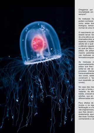 MUNDO DOS ANIMAIS
Chegamos por
imortalidade em
sempre?
As medusas Tur
podem conhecer e
como estas dua
biológica, temos
normal de uma m
O nascimento oco
estado larvar. Est
de uma pêra e pos
chamados cilos, em
espécies, é a plân
adulta tal e qual
a plânula vagueia
ao qual se fixa e
pólipo. Os pólipo
mesmo parentes
nas medusas co
formados enquant
As medusas no
assexuadamente,
pólipo que lhes d
soltar-se até se
processo chamad
transversalmente
dos corais, estes
constroem o “esq
sua expansão (aq
corais).
No caso das med
se sob a forma d
nadante. As éfira
bebés, crescem e
adultas, que ao c
diferenciadas em
Para efeitos de
óvulos e os esp
fertilização e a for
vão original mais p
que lhes deram o
exatamente aqui
das duas Turritops
contrariando a ve
 
