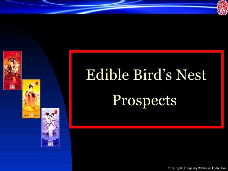 Edible Birdnest EBN fit for human consumption