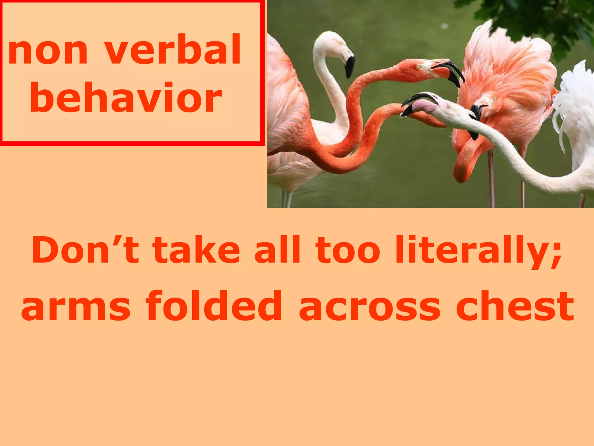 non verbal  behavior   Don’t take all too literally; arms folded across chest 
