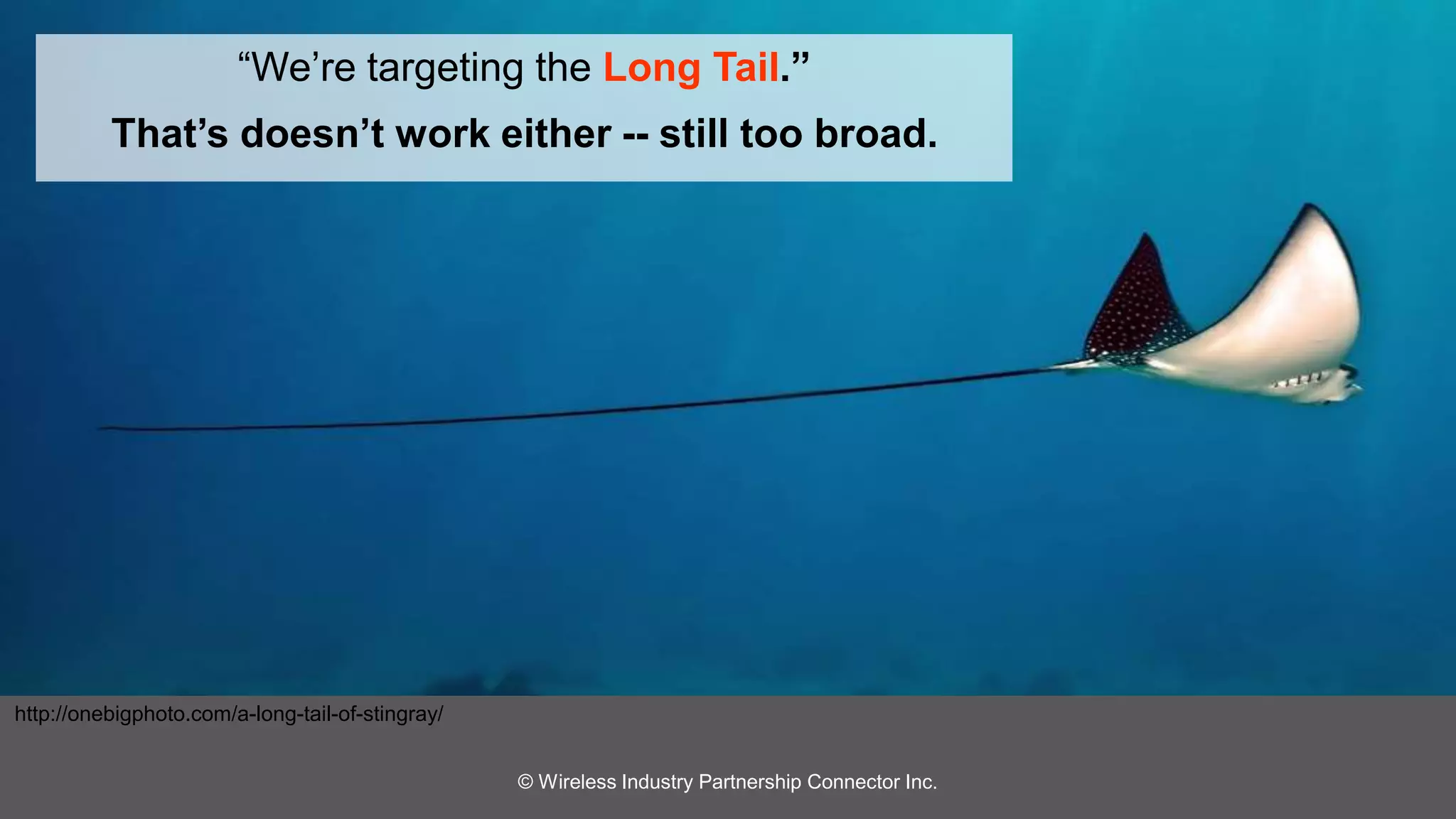 “We’re targeting the Long Tail.” 
That’s doesn’t work either -- still too broad. 
http://onebigphoto.com/a-long-tail-of-stingray/ 
© Wireless Industry Partnership Connector Inc. 
 